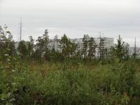 2008