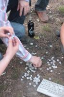 День сисадмина 2009