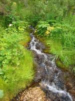 Поход на гряду Чернышева