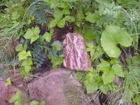 Поход на гряду Чернышева