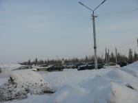 Лыжня России 2010