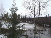 Маевка 2012