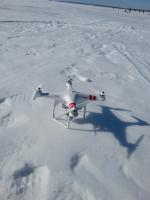 Усинский пингвин 2015