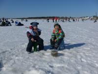 Фотографии пользователя Logotip