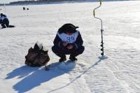 Фотографии пользователя Czarownica