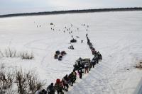 Усинский пингвин 2016