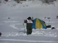 Усинский пингвин 2018