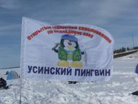 Усинский пингвин 2018