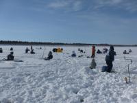 Усинский пингвин 2018