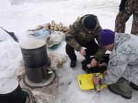 Усинский пингвин 2019