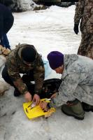 Усинский пингвин 2019