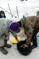 Усинский пингвин 2019