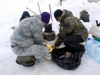 Усинский пингвин 2019