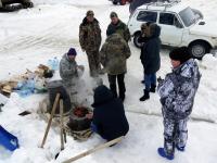 Усинский пингвин 2019