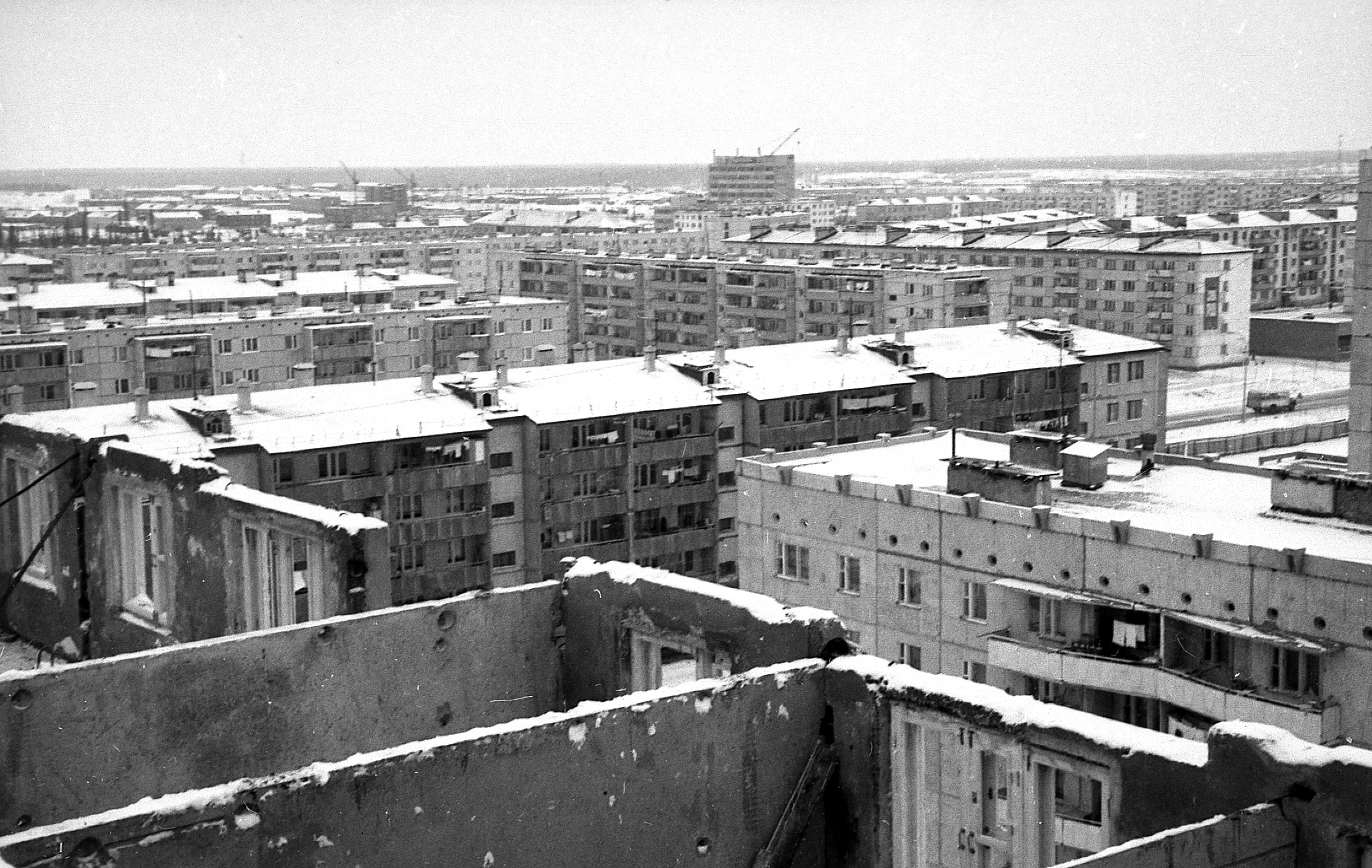 1_003.jpg
