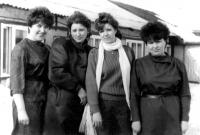 История в лицах