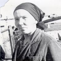 История в лицах