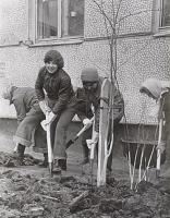 История в лицах