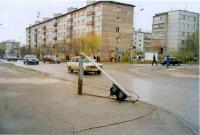 Город