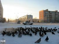 Город