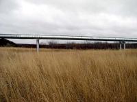 Тундра.
(C) Blacki