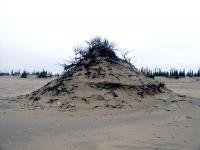 Тундра.
(C) Blacki