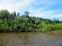 р.Уса, июль 2003
