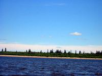 р.Уса, июль 2003