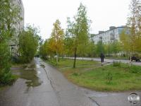 2003