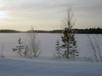 Зимник 2005